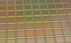 66ccd29a29c8539ddf0e0bb0 Senseeker