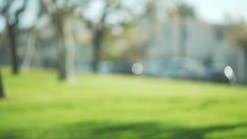 Avoid Optical Pitfalls Part 3