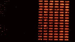 A neutral atom qubit register, which continuously reloads new atoms into the register.