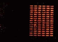 A neutral atom qubit register, which continuously reloads new atoms into the register.