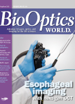 Volume 6, Issue 3 cover image