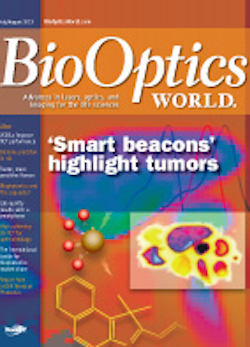 Volume 6, Issue 4 cover image