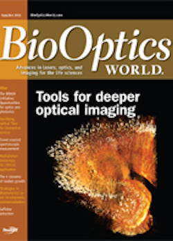 Volume 6, Issue 5 cover image