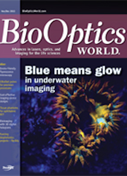 Volume 6, Issue 6 cover image